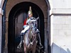 Londyn_Horse_Guards_3_Radynacestu_foto_Pavel_Spurek.jpg